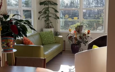 Why Cordless Blinds are a Must-Have for Modern Homes in Nebraska