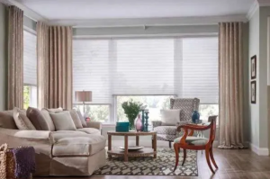 Pleated Shades providing filtered light in room
