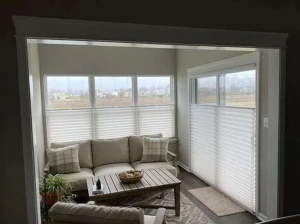 Pleated Shades installed on residential windows