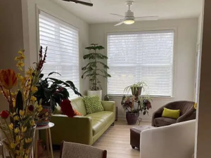 Overture Sheer Shades installed on residential windows