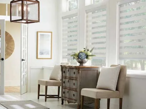 Layered/Zebra Shades providing filtered light in room