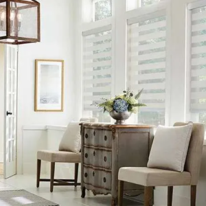 Layered/Zebra Shades providing filtered light in room