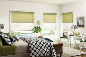 Green themed bedroom with blinds