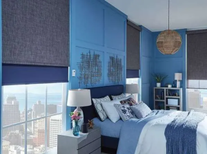 Dual Shades installed on residential windows