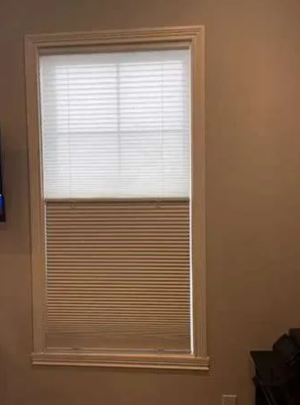 Modern Dual Shades in home interior setting