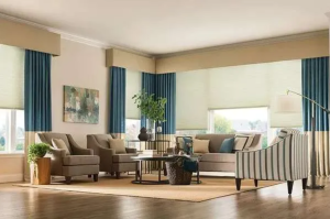 beautiful living room with In Style Blinds
