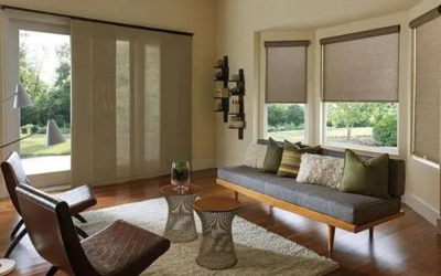 Behind the Shades: Welcome to Our Window into the World!